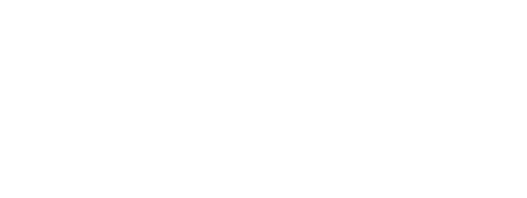 DANPHINE ASESORES Y COMERCIO